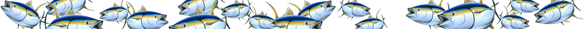 image banner